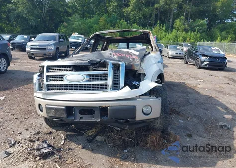 2009 Ford F-150 Fx4/King Ranch/Lariat/Platinum/Xl/Xlt z USA, uszkodzony, nr VIN 1FTPW14V79KB06357